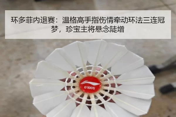 huan-duo-fei-nei-tui-sai-wen-ge-gao-shou-zhi-shang-qing-qian-dong-huan-fa-san-lian-guan-meng-zhen-bao-zhu-jiang-xuan-2-946.jpg